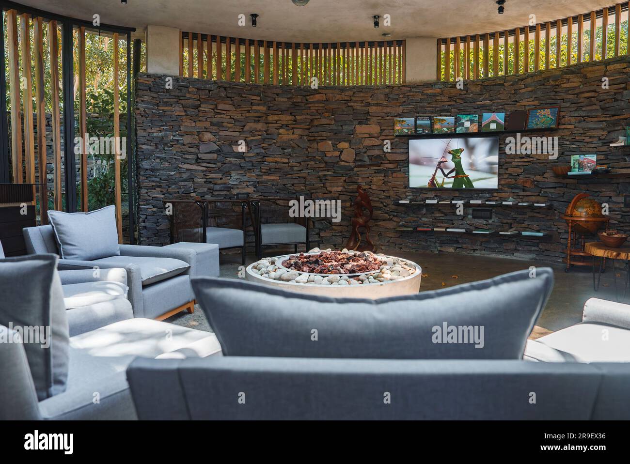 Modern interior design of luxury living room Stock Photo - Alamy