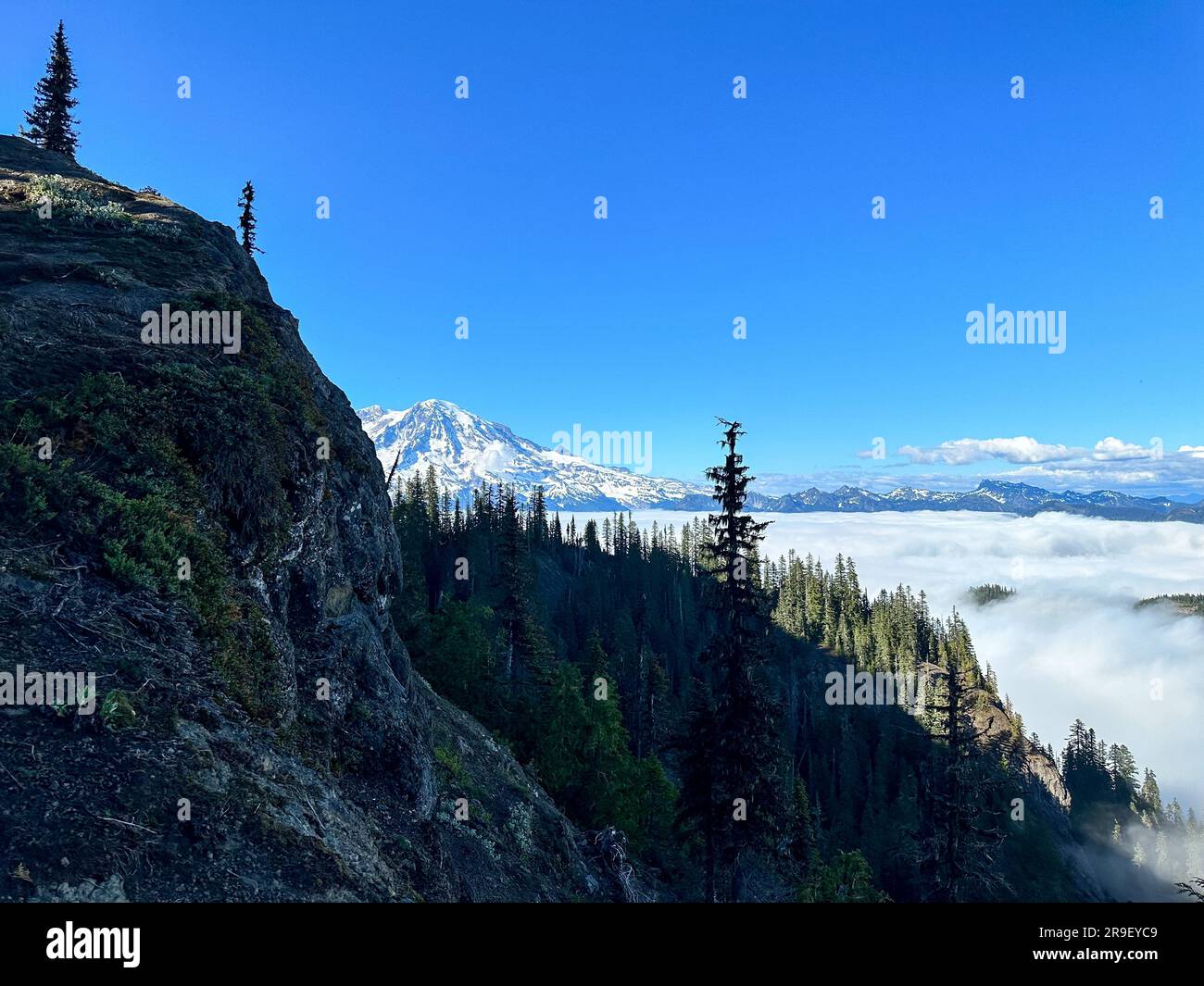 Mount Rainier from High Rock Lookout Stock Photo - Alamy