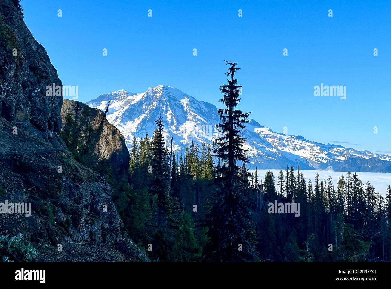 Mount Rainier from High Rock Lookout Stock Photo - Alamy