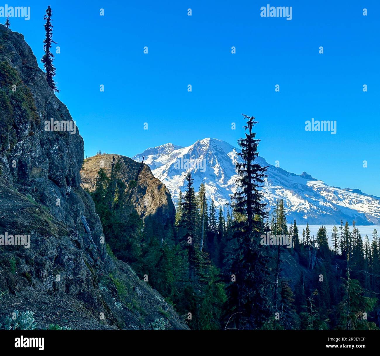 Mount Rainier from High Rock Lookout Stock Photo Alamy