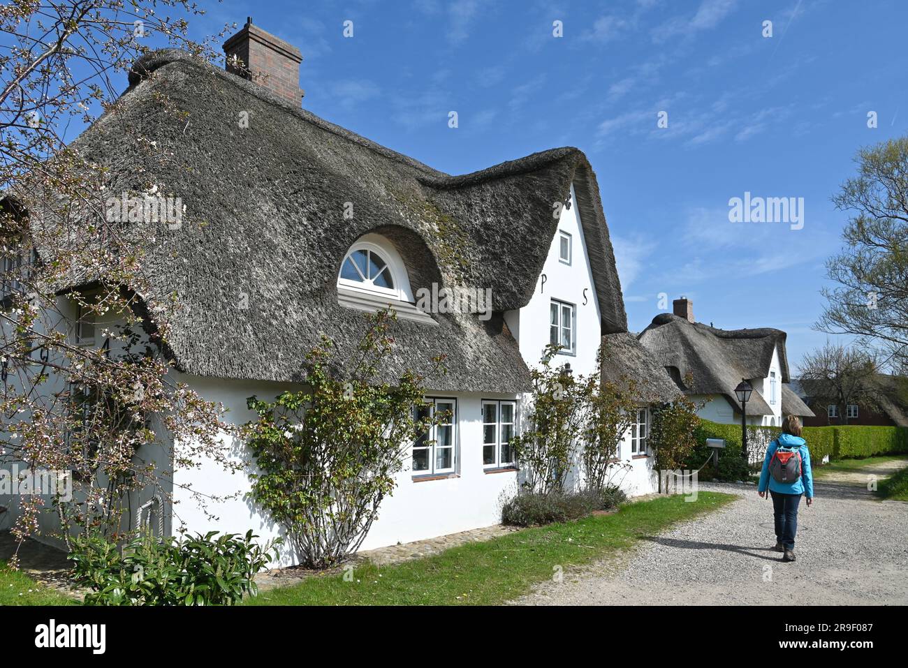 Friesenhaus, a tatched house in the village of Nebel on Amrum,, Frisian Islands, Wadden Sea, Germany Stock Photo