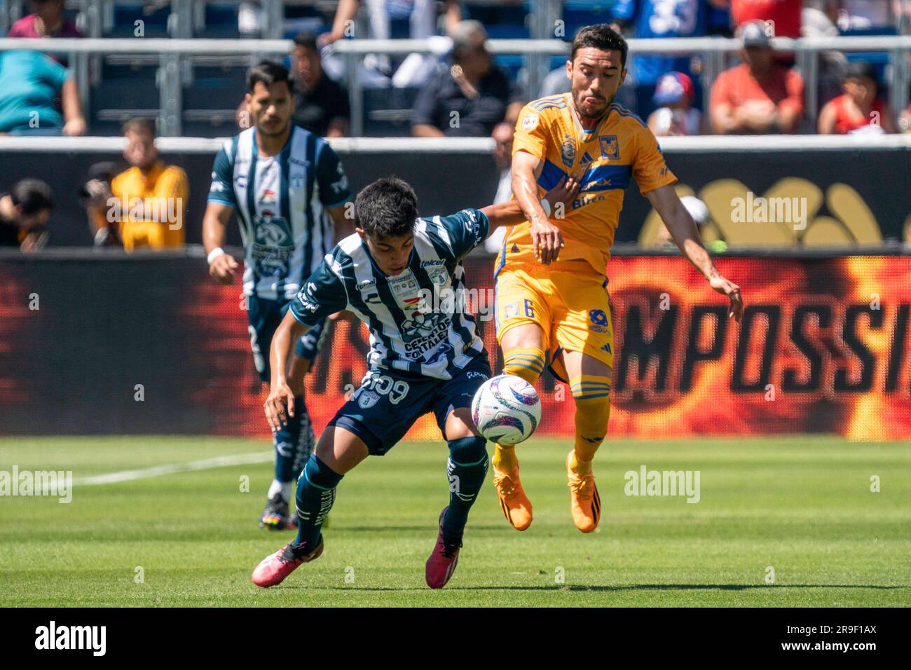 Tigres uanl pachuca hi-res stock photography and images - Alamy