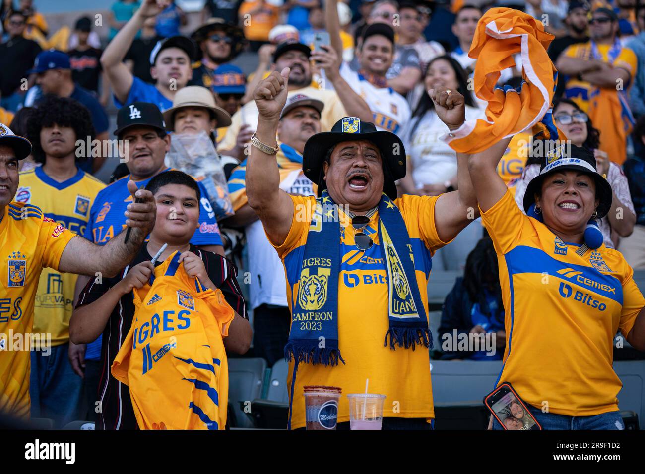 UANL Tigres fans celebrate a Campeón de Campeones Liga MX match victory against Pachuca, Sunday, June 25, 2023, at the Dignity Health Sports Park, in Stock Photo