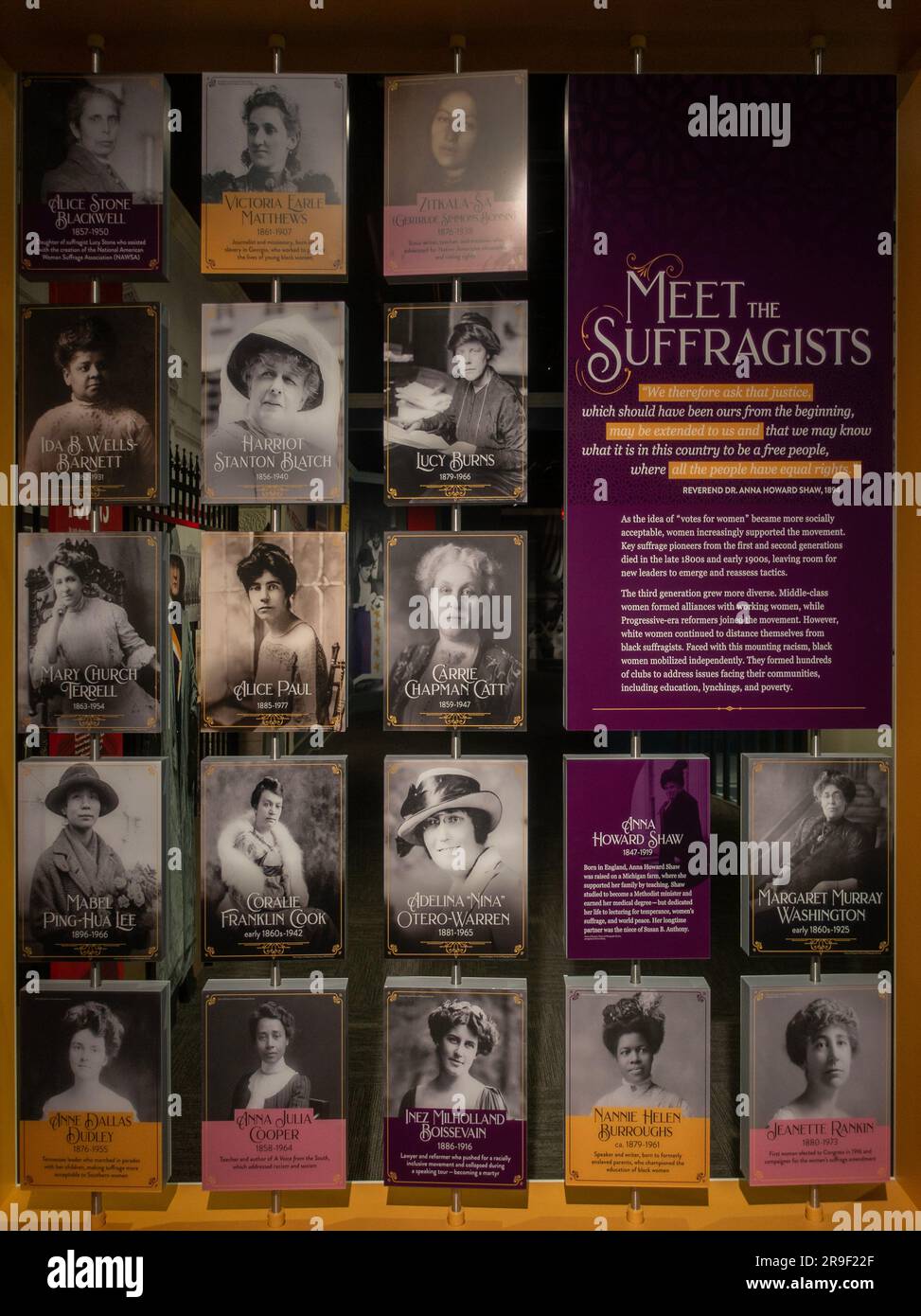 the 19th amendment women fight for voting rights exhibit at the