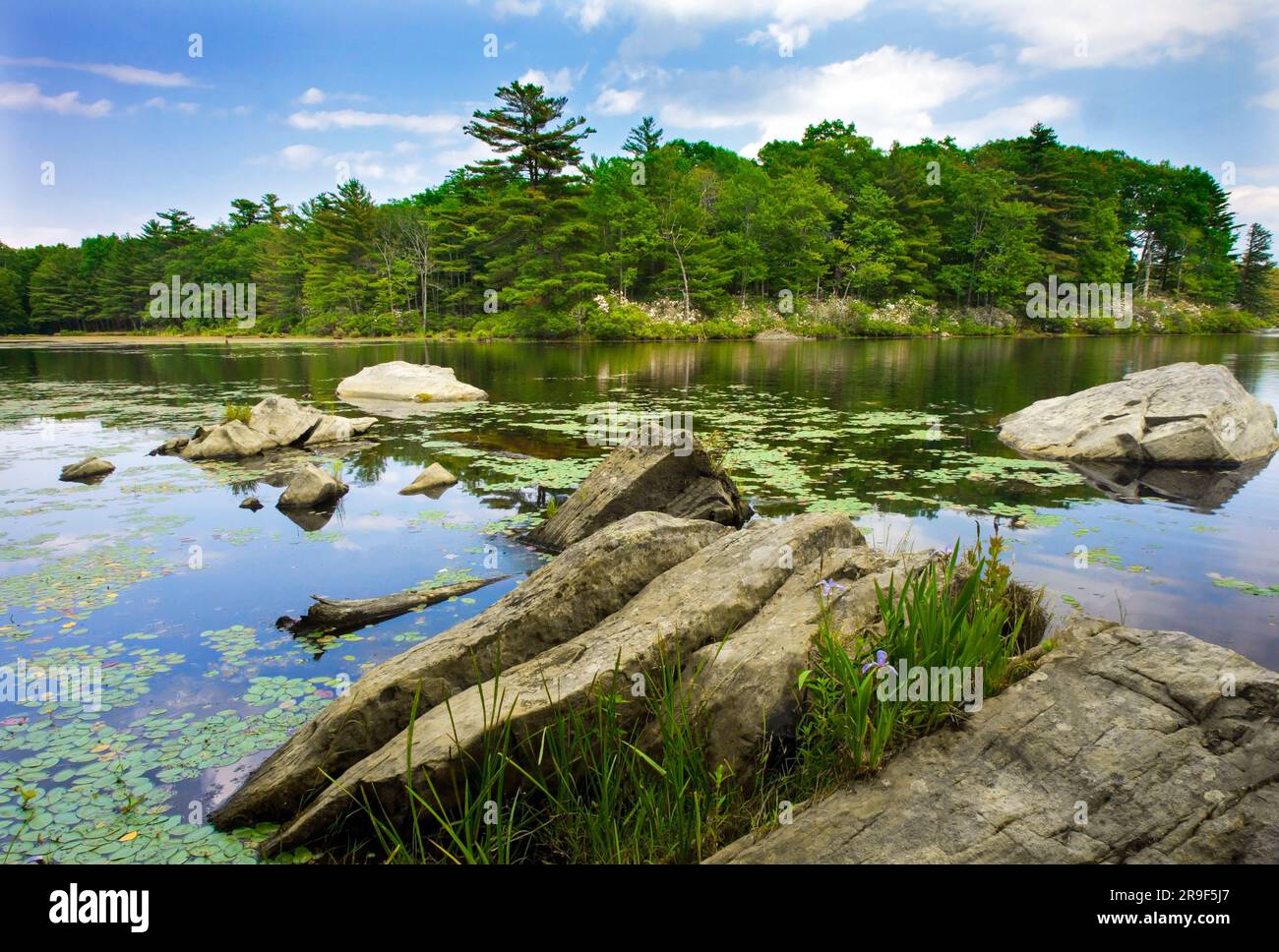 Egypt Meadows Lake in the Bruce Lake State Forest Nsatural Area, Pocono Mountains, Pennsylvania Stock Photo
