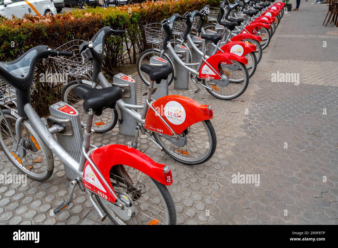 Seville, Spain-FEB 24, 2022: Public shared bikes parked at a station in Seville, Spain. The municipal service is named Sevici. Stock Photo
