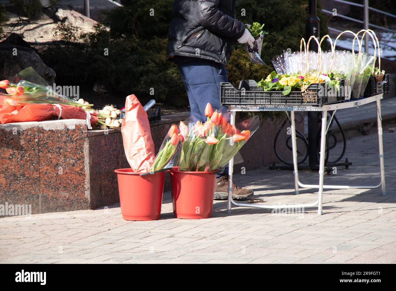 sale of tulips on the street on March 8 in Ukraine, street flower trade