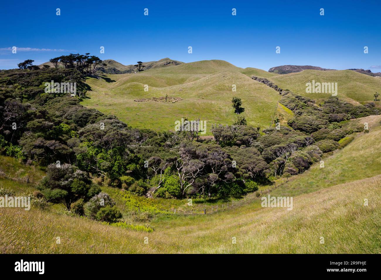 The wilderness walk to Wharariki Beach, New Zealand, South Island's