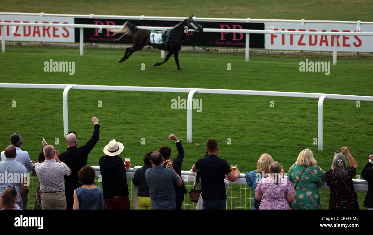 Loose horse racing hi-res stock photography and images - Alamy