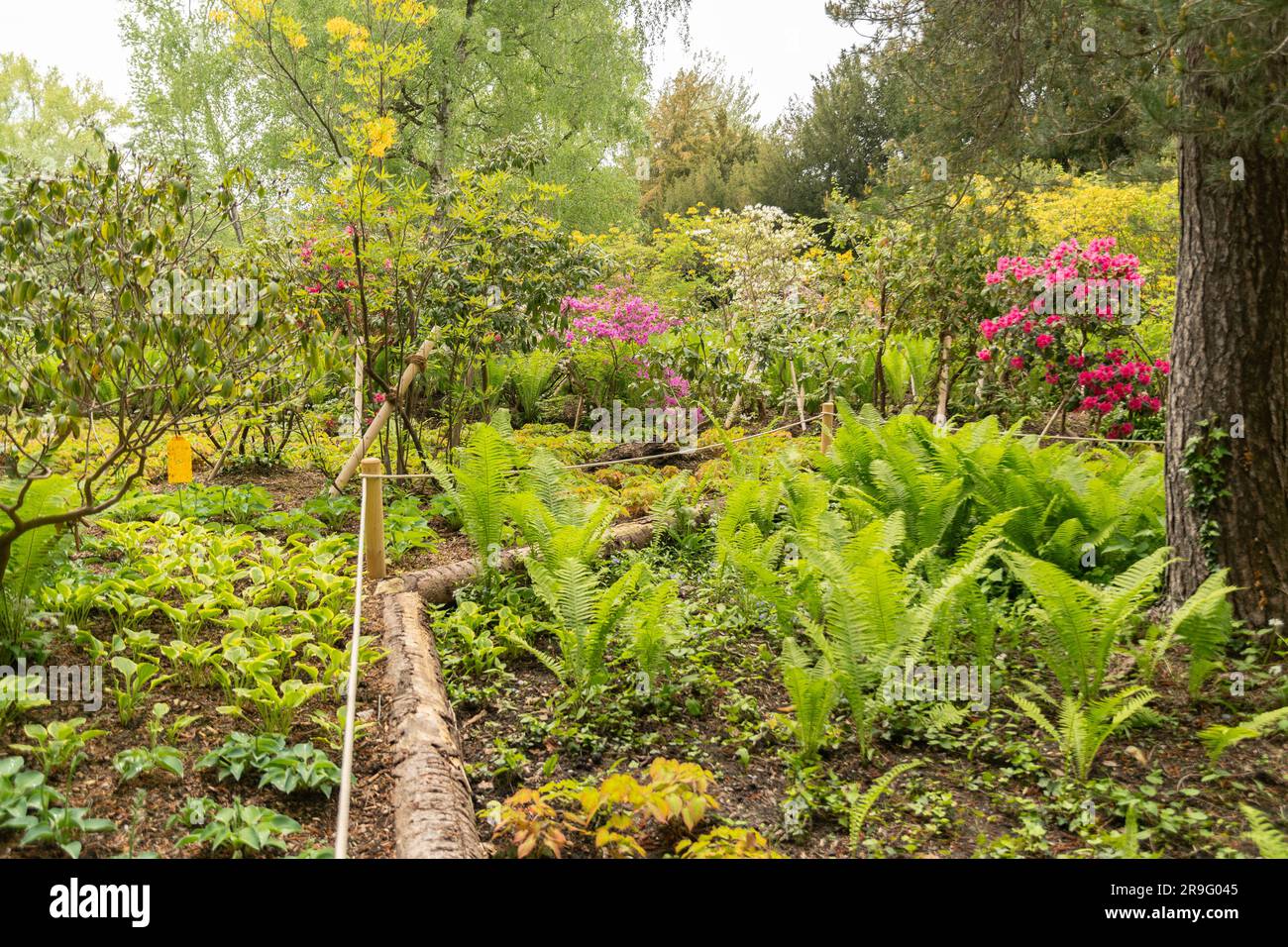 Zurich, Switzerland, May 9, 2023 Lovely mixed plants are growing in a