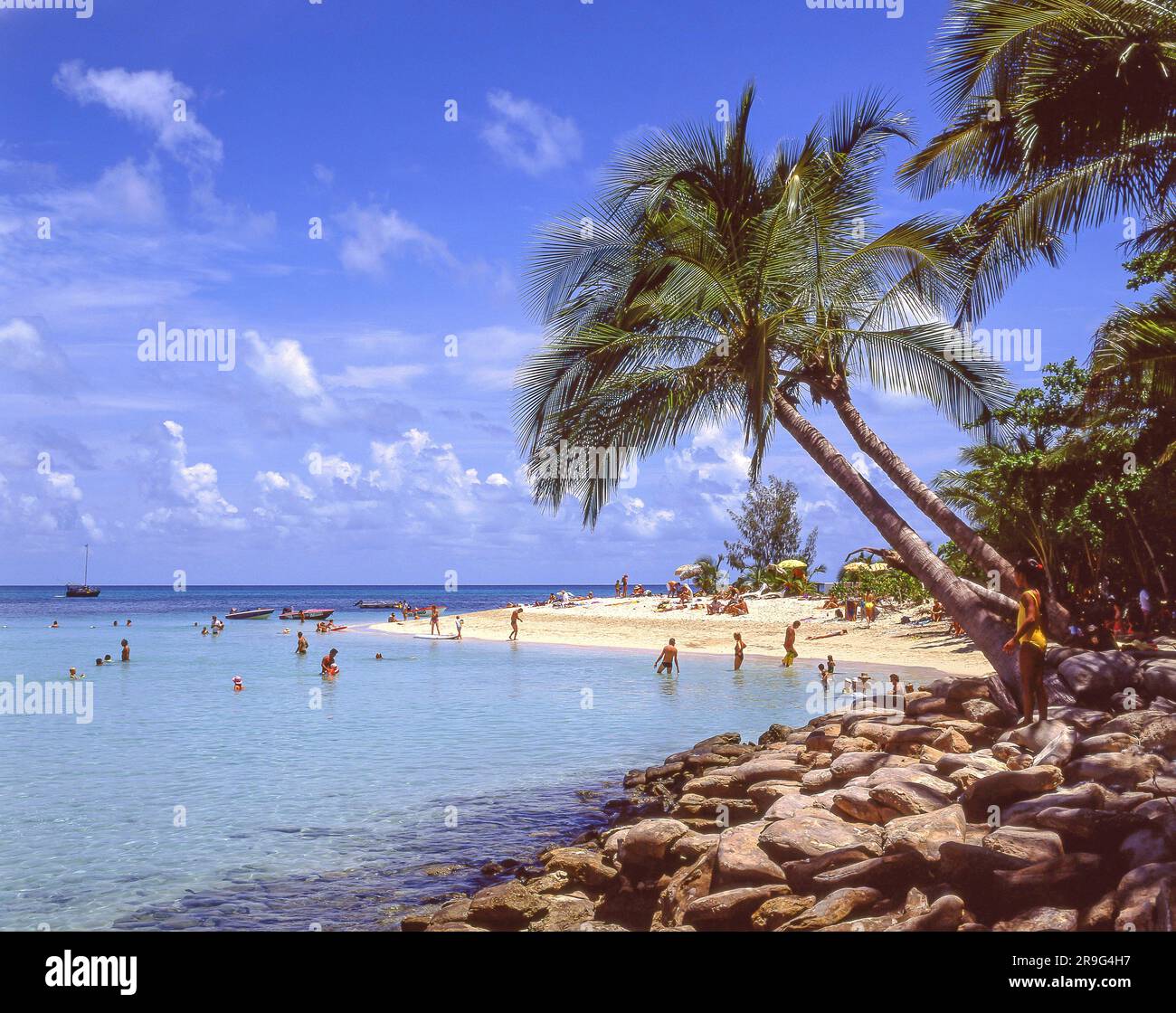 Green island coral cay reinfern beach great barrier reef marine hi-res ...