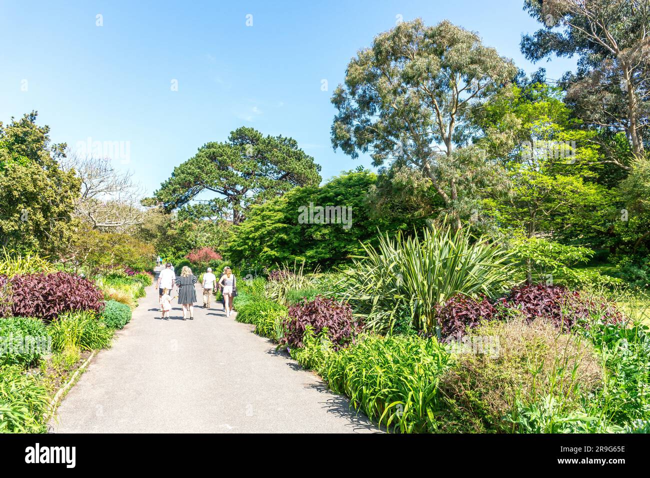 Ventnor Botanic Garden, Undercliff Drive, Vetnor, Isle of Wight, England, United Kingdom Stock Photo