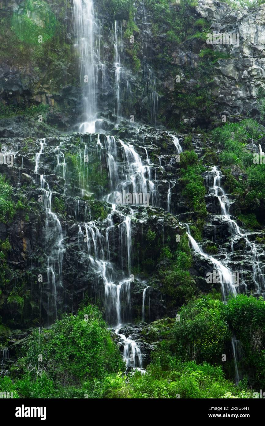A close up photo of lush waterfalls at Thousand Springs near Hagerman, Idaho. Stock Photo