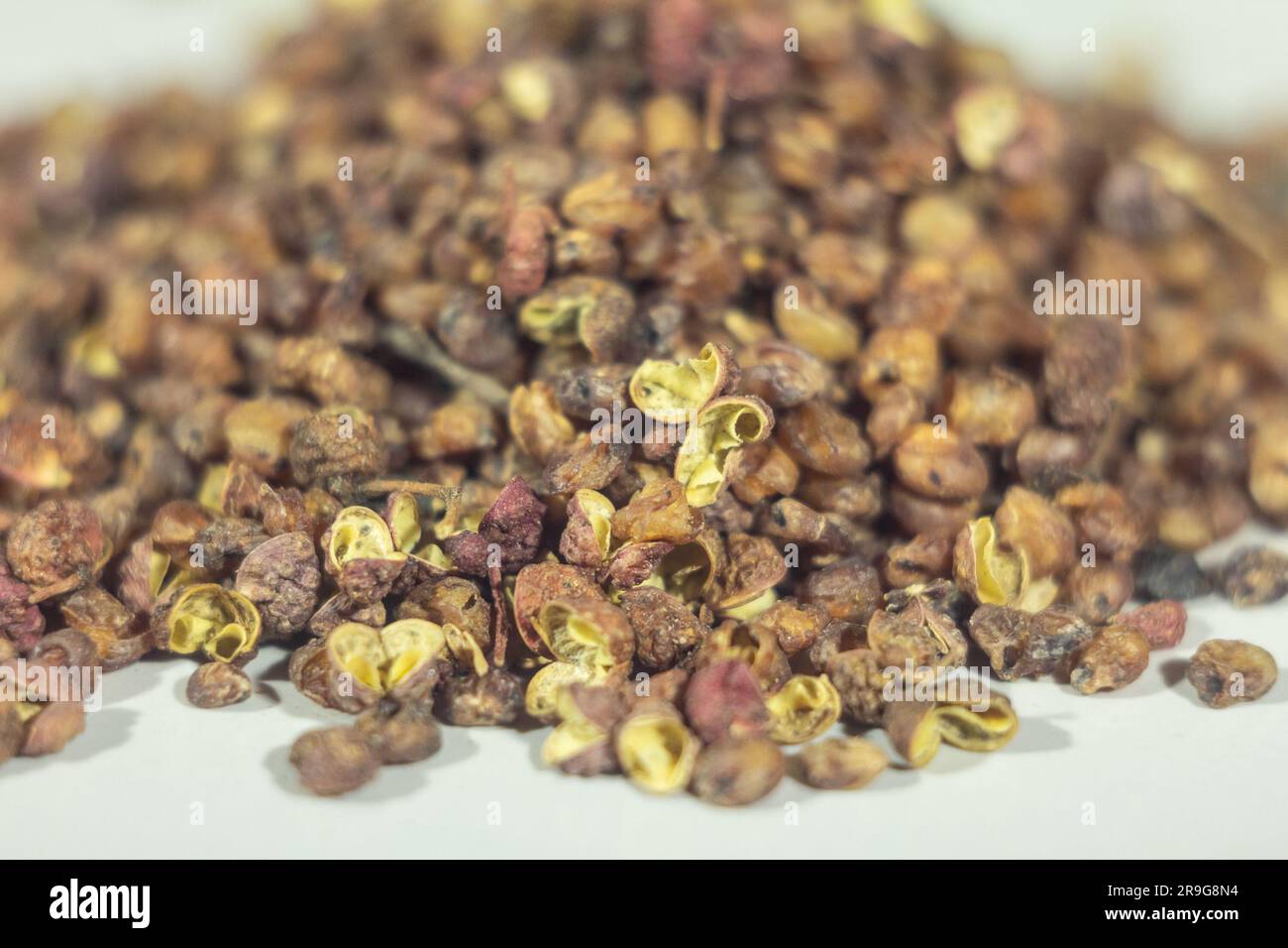 Picture of chinese sichuan pepper on a white plate , piled in stacked. Sichuan pepper also known as Szechuan pepper, Szechwan pepper, Chinese prickly Stock Photo