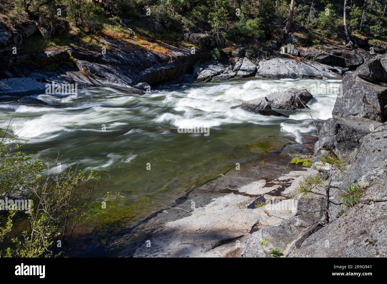 The North Fork of the Stanislaus River in Calaveras County, California, flows past and over boulders at a rapid pace in the summer of 2023. Stock Photo
