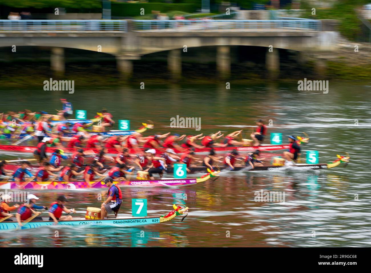 Vancouver, British Columbia, Canada – June 24, 2023. Vancouver Dragon Boat Festival Race. Dragonboat teams race in the sunshine on the calm water of F Stock Photo