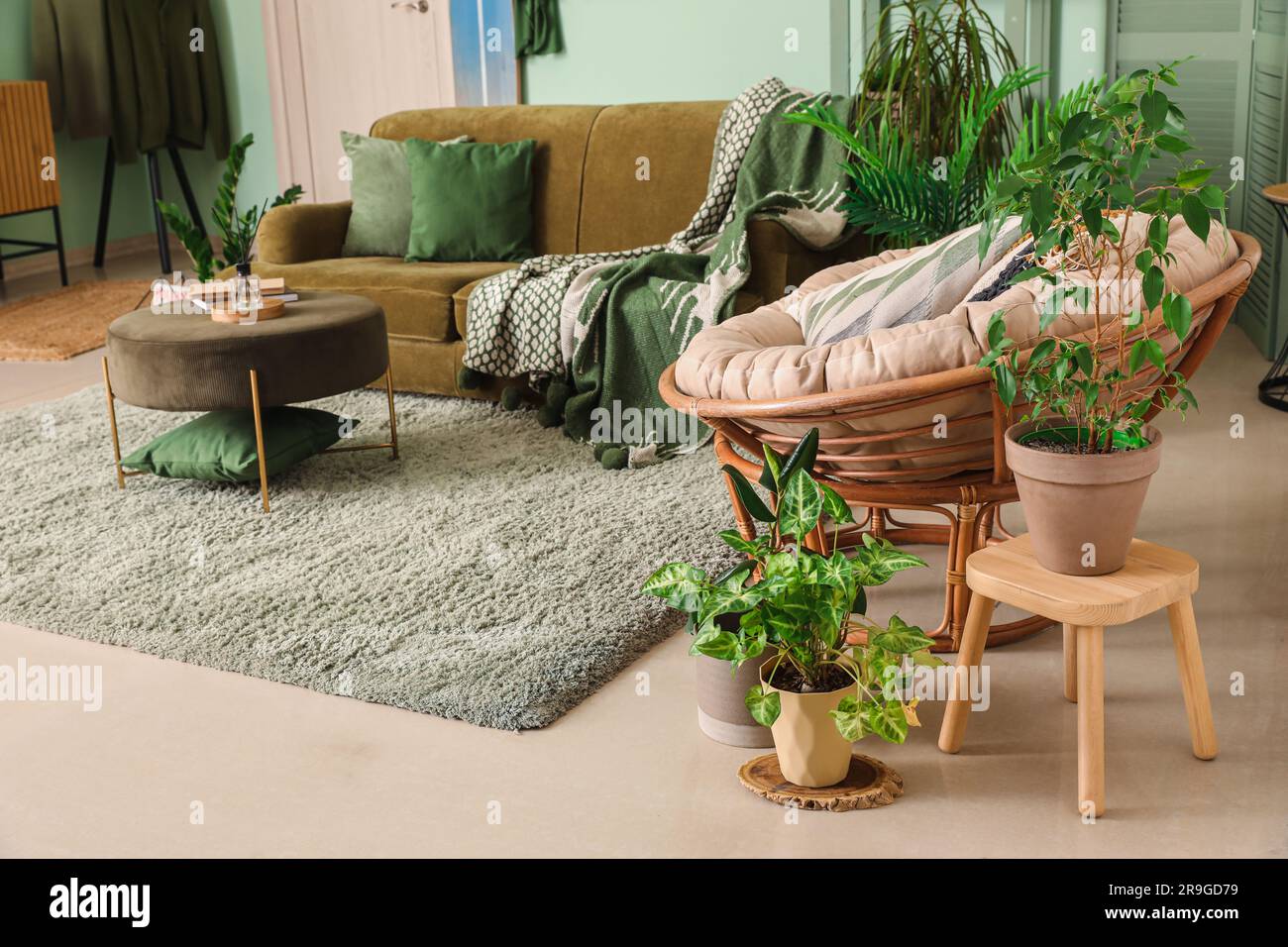 Interior of stylish living room with houseplants, sofa and armchair ...