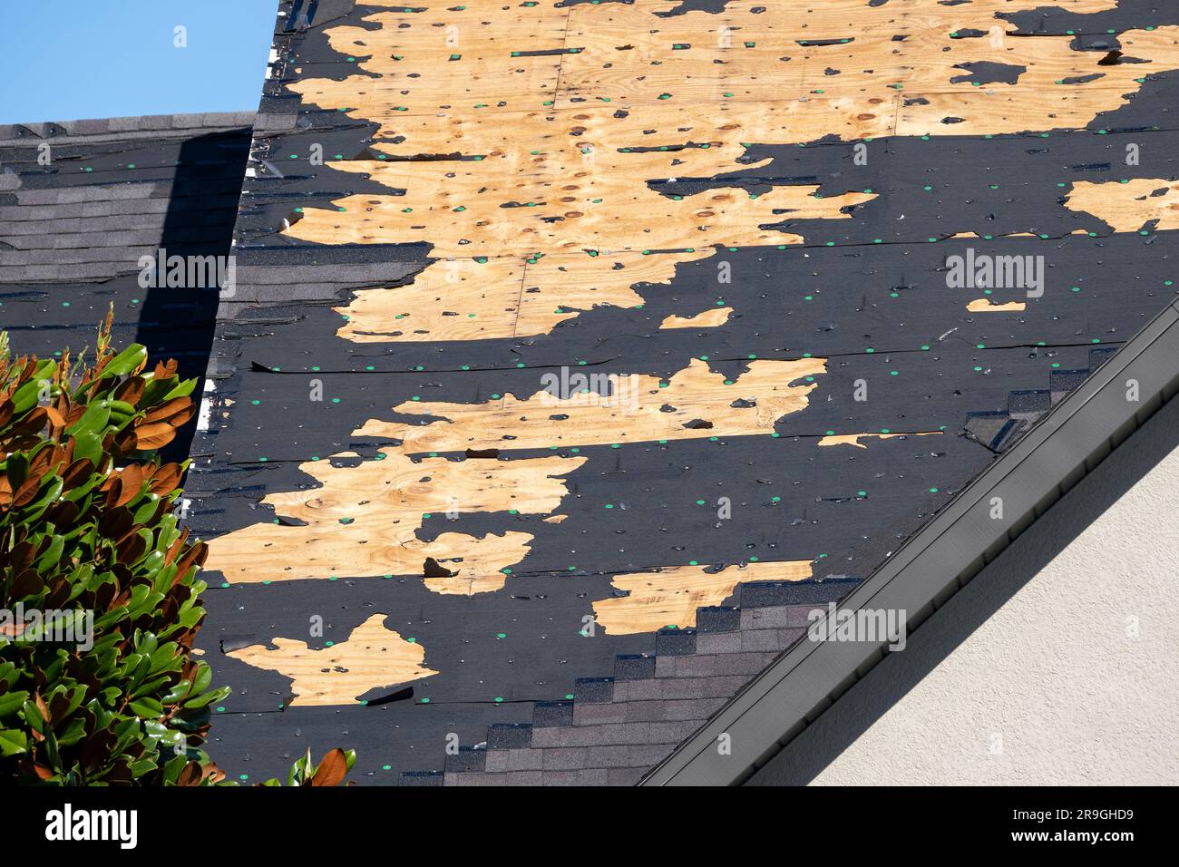 Ruined rooftop in need of repair. Wind damaged house roof with missing asphalt shingles after hurricane Ian in Florida. Stock Photo