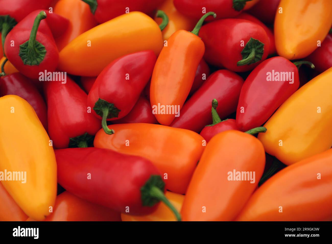 Yellow and red hot chili peppers as background, closeup Stock Photo - Alamy