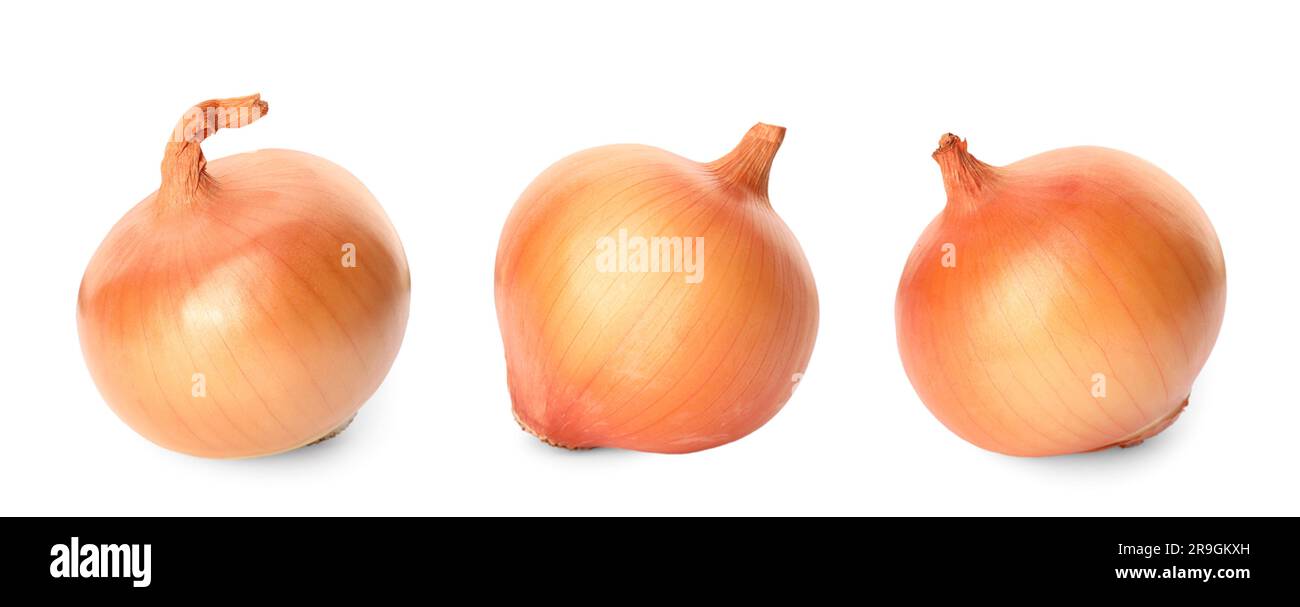 Three whole fresh onion bulbs isolated on white Stock Photo