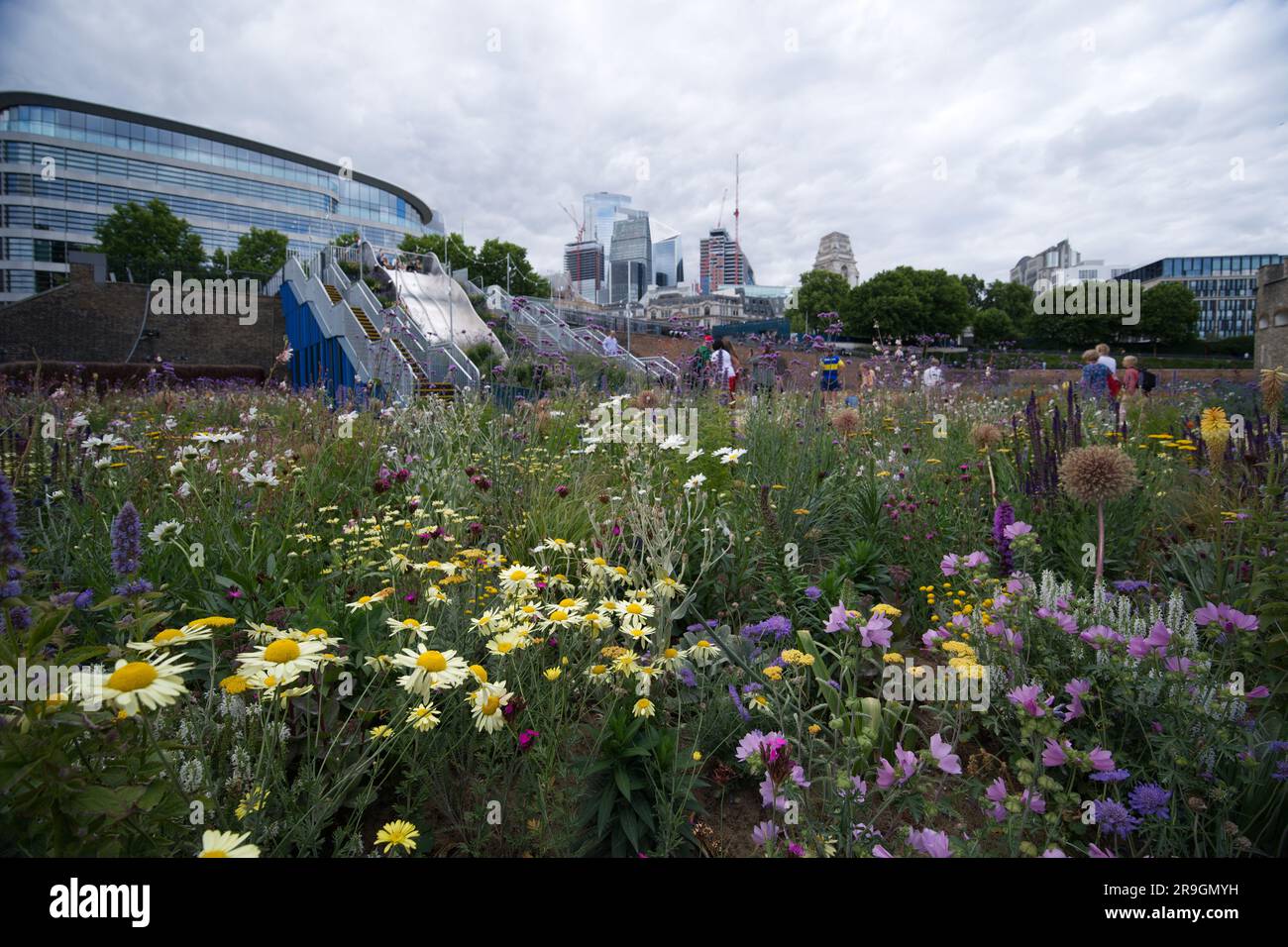 Superbloom 2022 the wild flowers in the Tower of London moat Stock