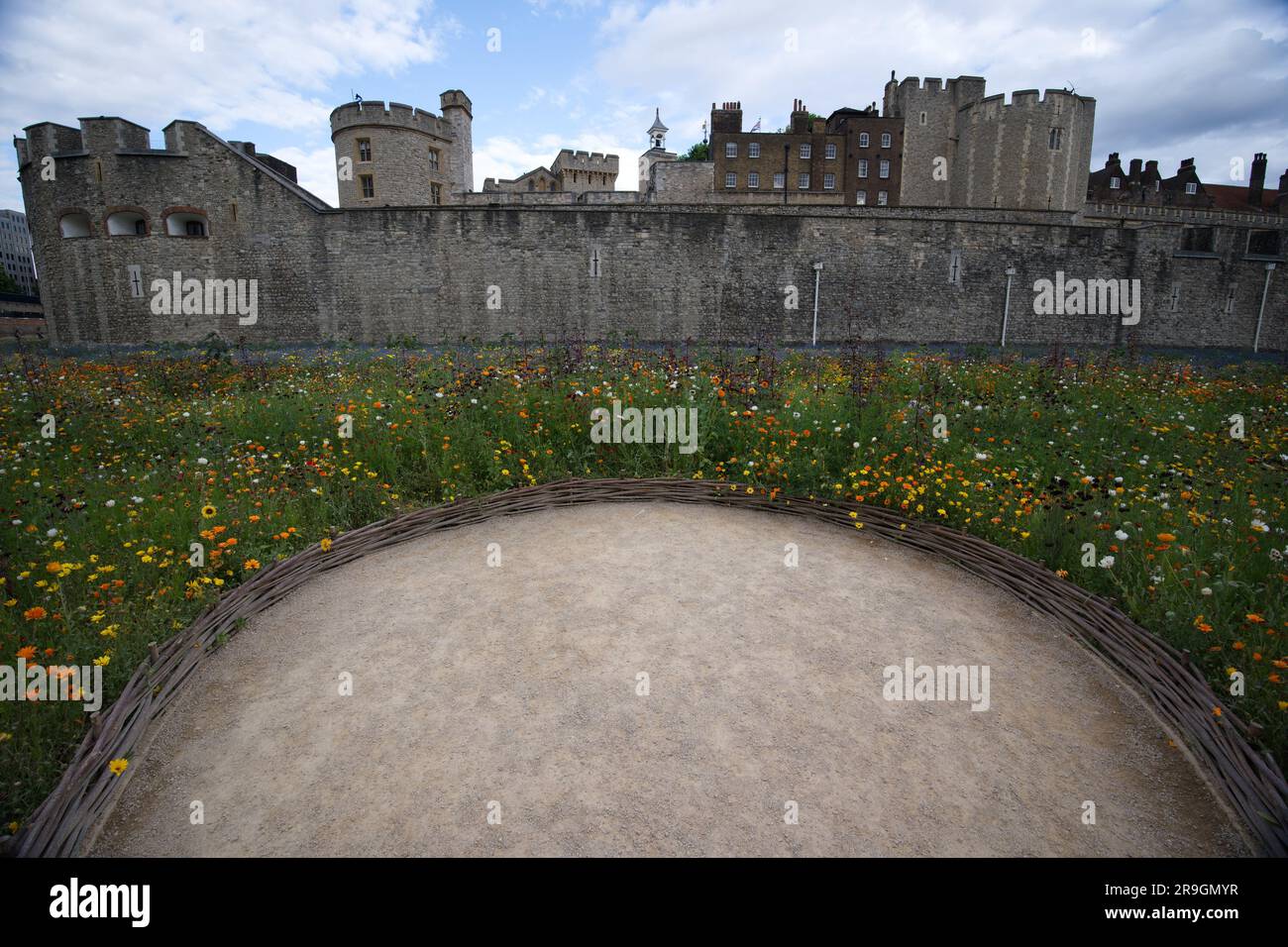 Superbloom 2022 the wild flowers in the Tower of London moat Stock