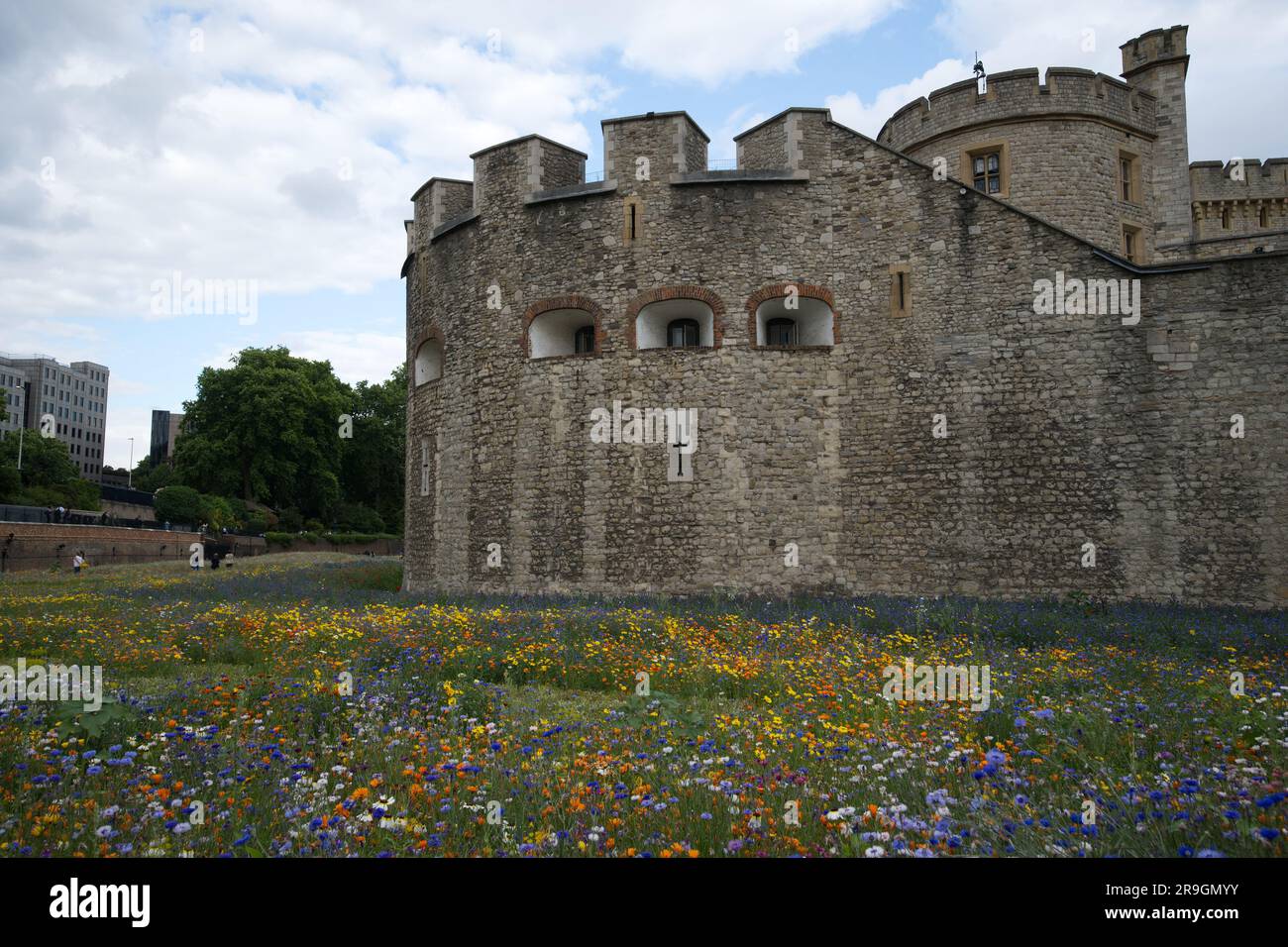 Tower of london moat hi-res stock photography and images - Alamy