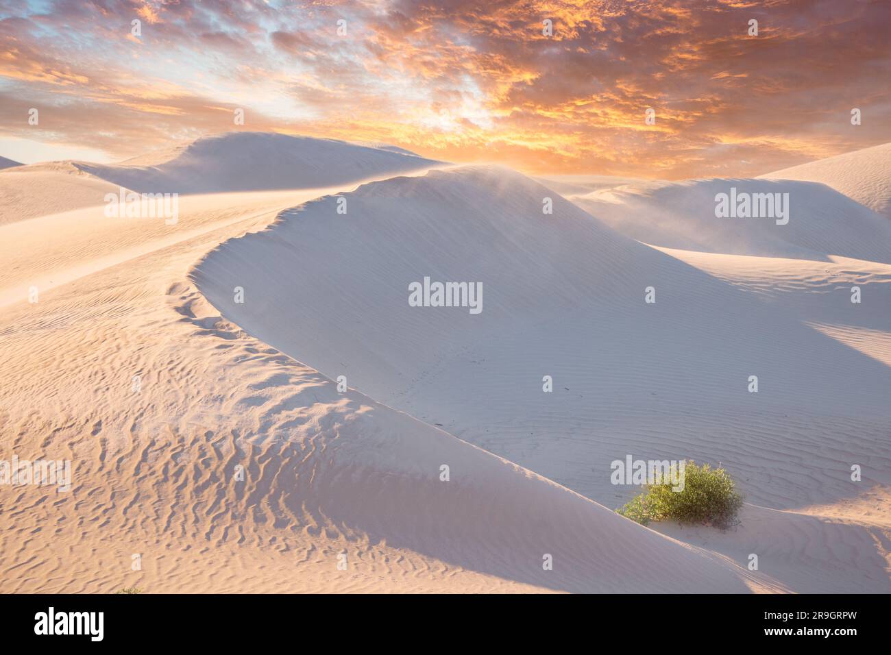 Beautiful sunset over Australian dunes Stock Photo