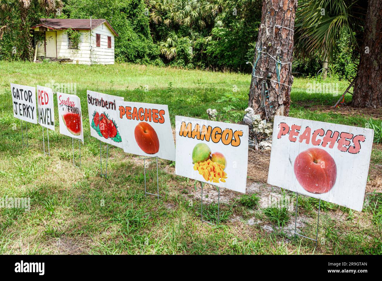 Rural roadside produce stand signs peaches mangos hires stock