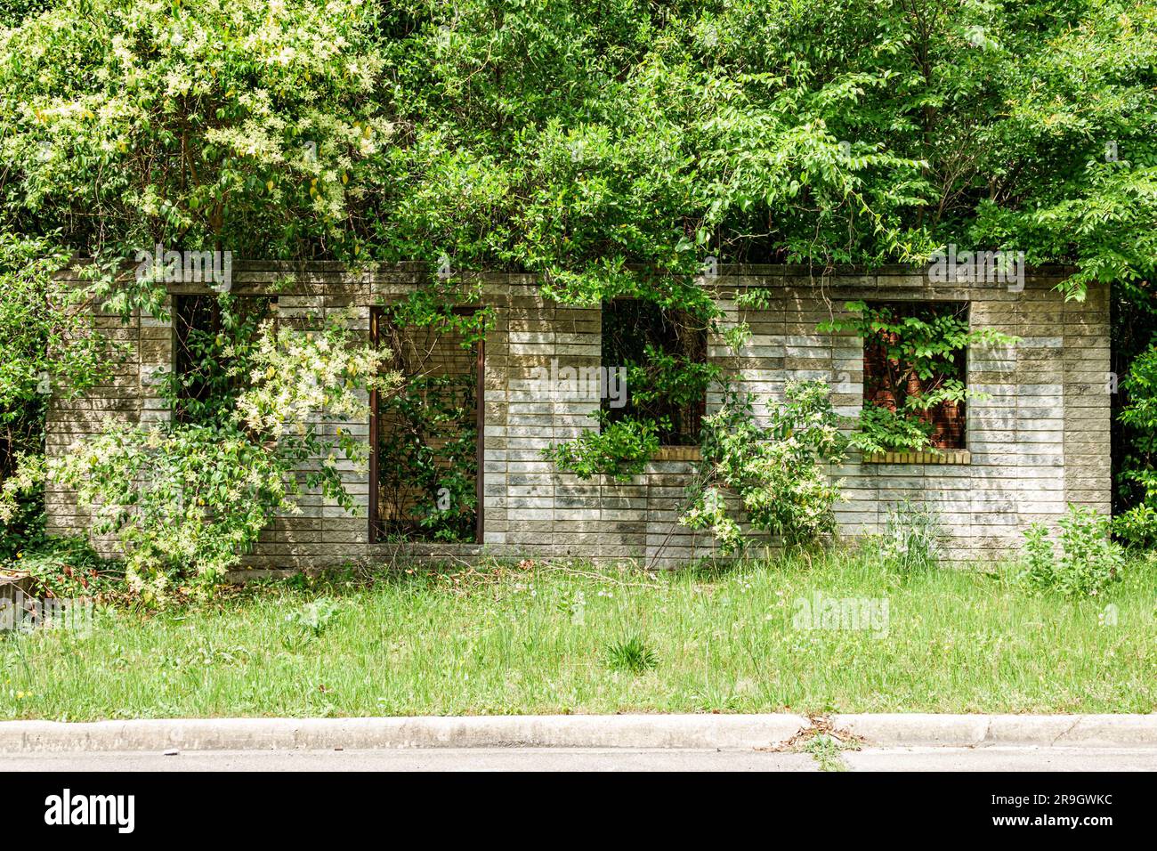 Macon Georgia,abandoned vacant neglected unoccupied overgrown house home Stock Photo