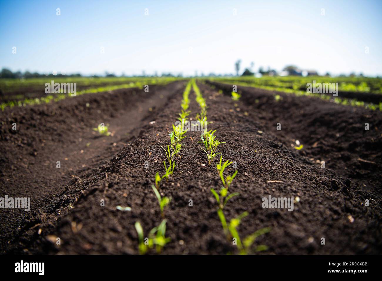 (230627) CANBERRA, June 27, 2023 (Xinhua) This photo provided by the Commonwealth