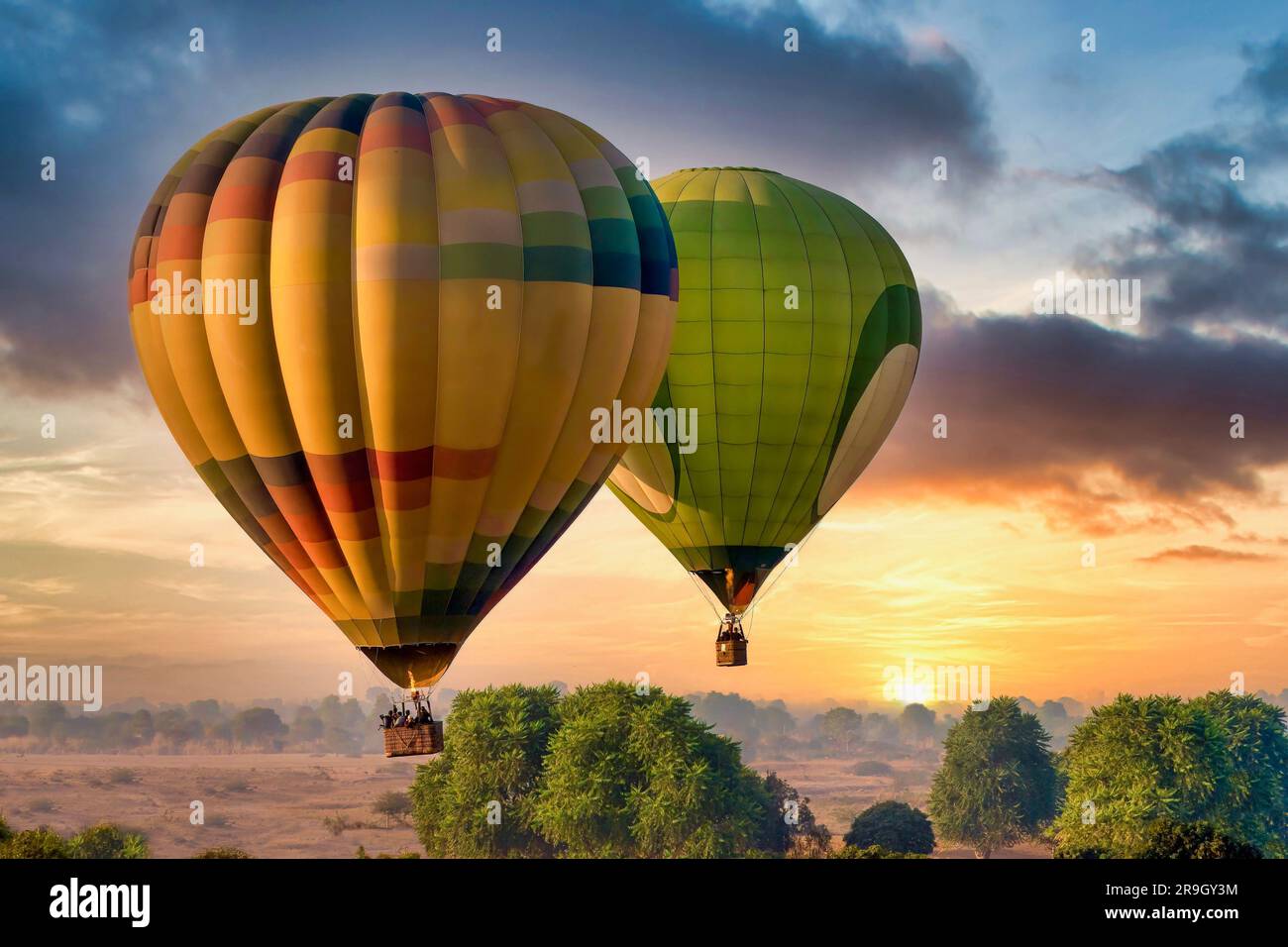 Two colorful hot air balloons filled with tourists float above the landscape at sunrise, part of the annual Pushkar Camel Fair in Rajasthan, India. Stock Photo
