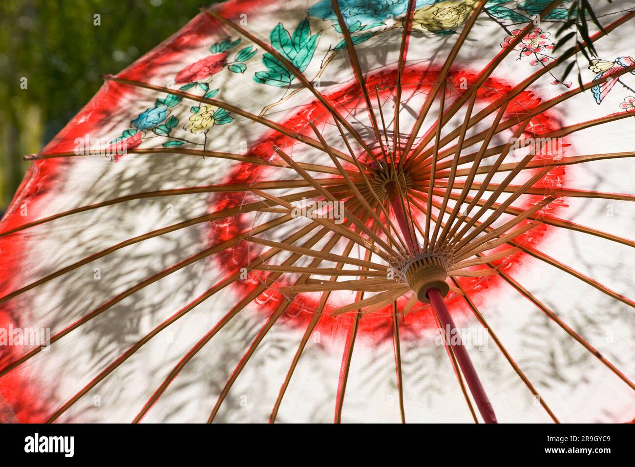Japanese paper umbrella wagasa H Stock Photo Alamy