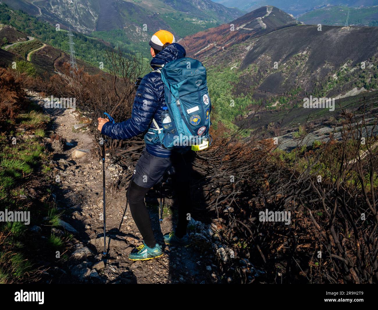 Allande, Spain. 25th May, 2023. A pilgrim is seen hiking in the middle of a burned nature area. Last April a fresh wave of wildfires scorches Spain's Asturias. More than a month after, pilgrims walking along the Puerto del Palo, which is a climb in the region Asturias and it's also part of the Camino Primitivo, one of the Caminos de Santiago can still observe the visible damage to trees and fields. These fires are also believed to be the result of deliberate actions. (Credit Image: © Ana Fernandez/SOPA Images via ZUMA Press Wire) EDITORIAL USAGE ONLY! Not for Commercial USAGE! Stock Photo