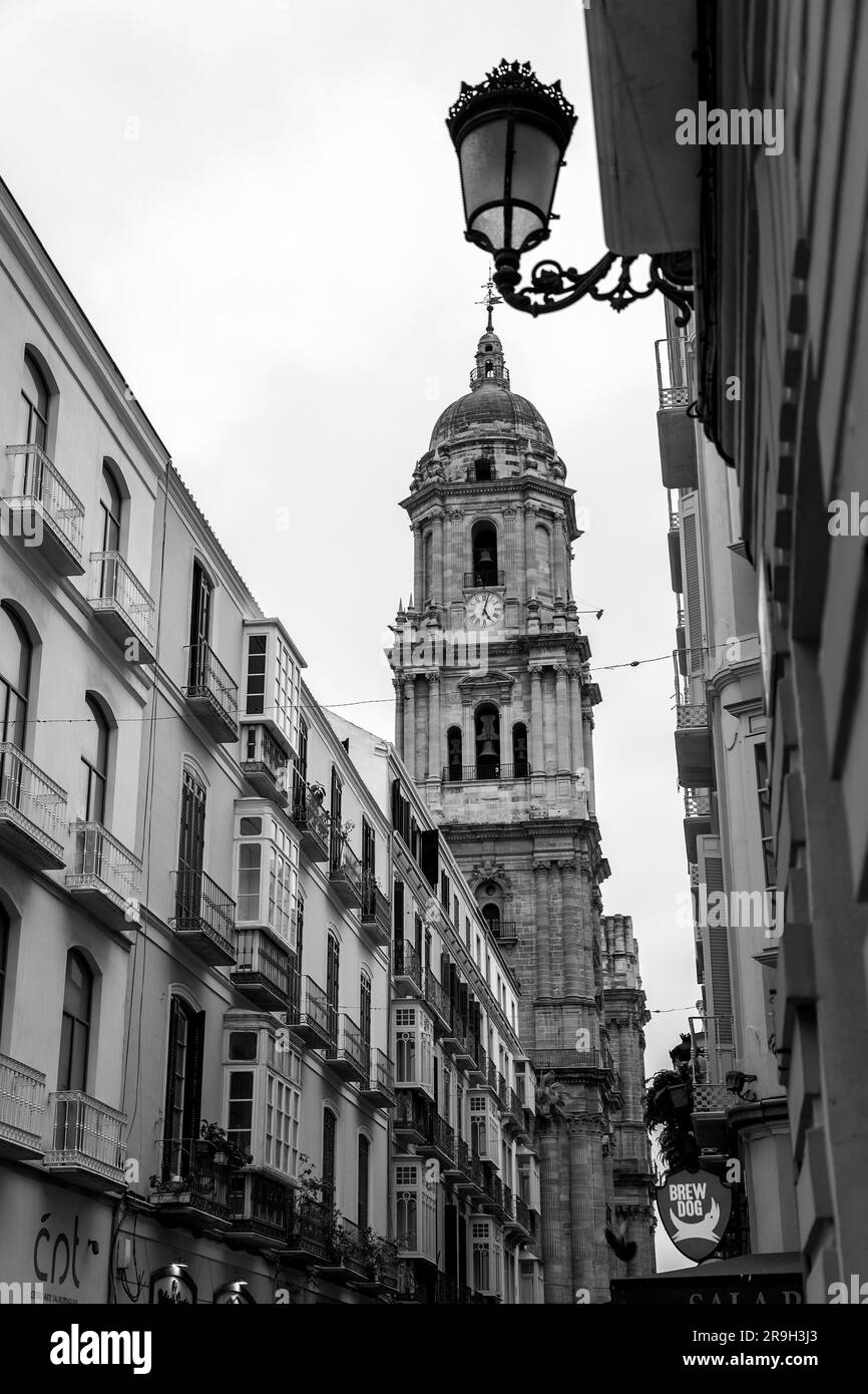 Malaga, Spain - FEB 27, 2022: The Cathedral of Malaga is a Roman Catholic church in Malaga, Andalusia, southern Spain. Renaissance style architecture Stock Photo