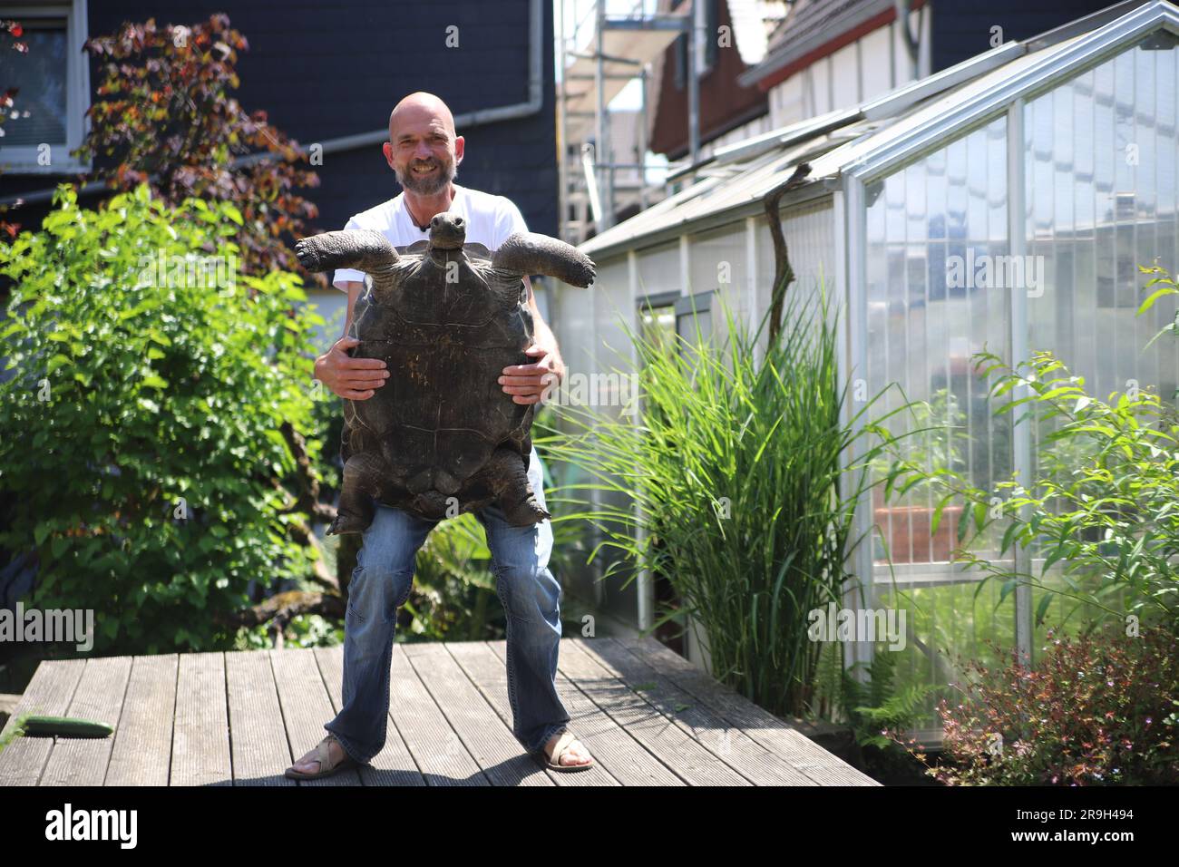 Ennepetal, Germany. 25th June, 2023. Alex Meier stands with a turtle in his  garden in Ennepetal. To take care of a property of about 70 turtles and at  the same time to