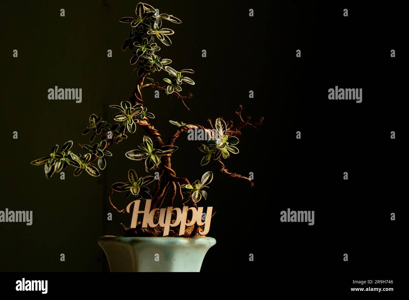 The word happy made of wooden letters on the branches of a decorative ...