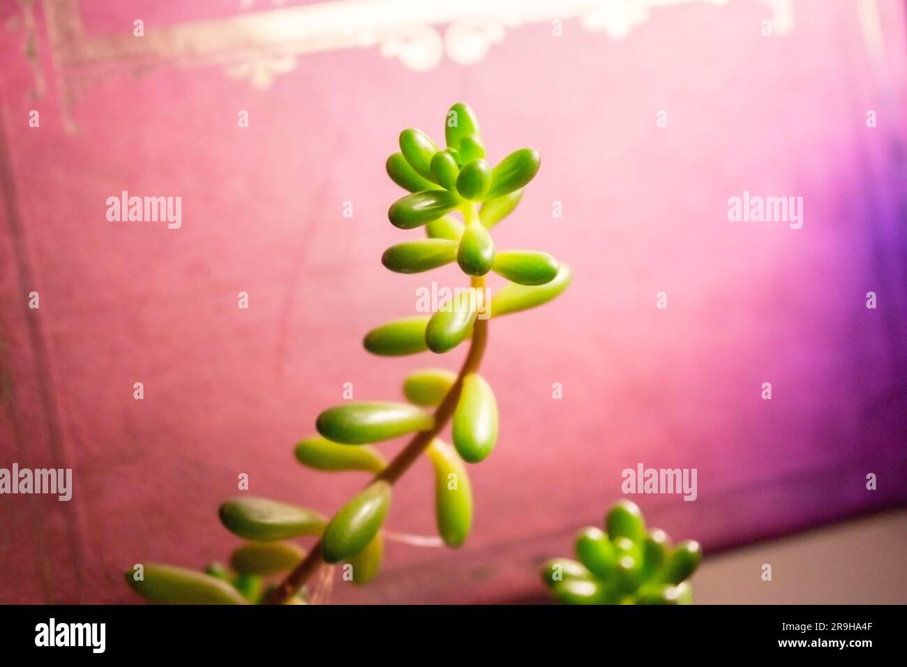 Grungy pot hi-res stock photography and images - Alamy