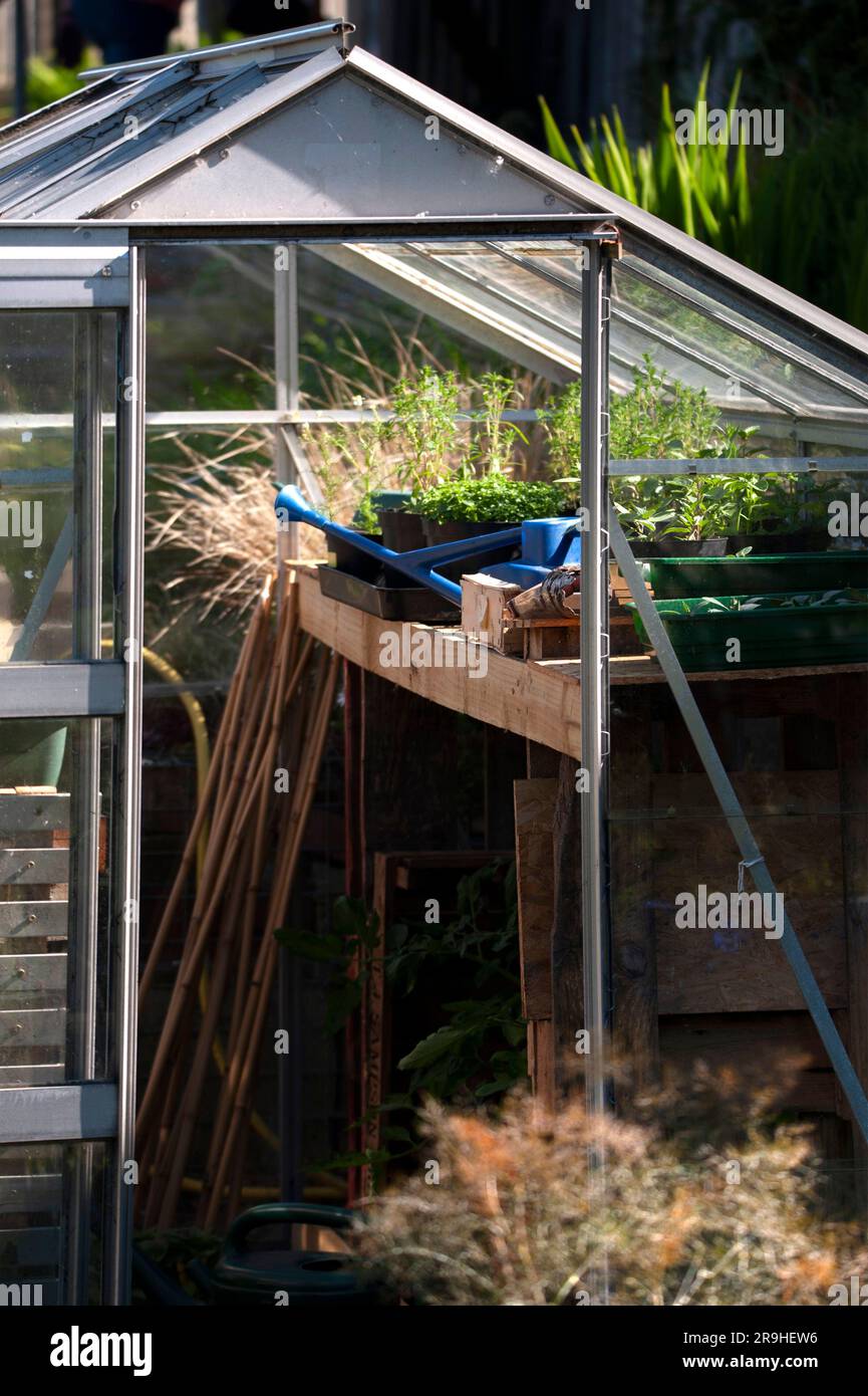 Greenhouse in Armstrong Allotments, Heaton, NewcastleuponTyne Stock