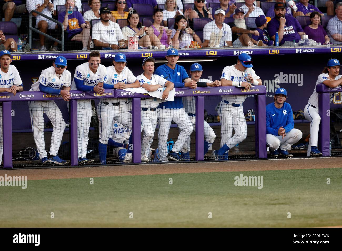 LSU wins 2023 DI baseball national championship