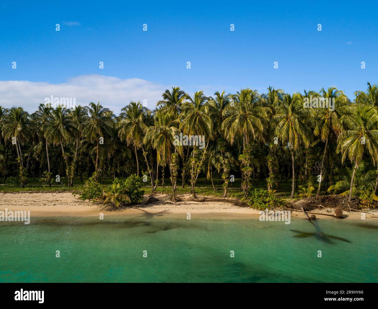 Aerial view of desert tropical beach. Zapatilla island, Bocas del Toro Panama - stock photo Stock Photo