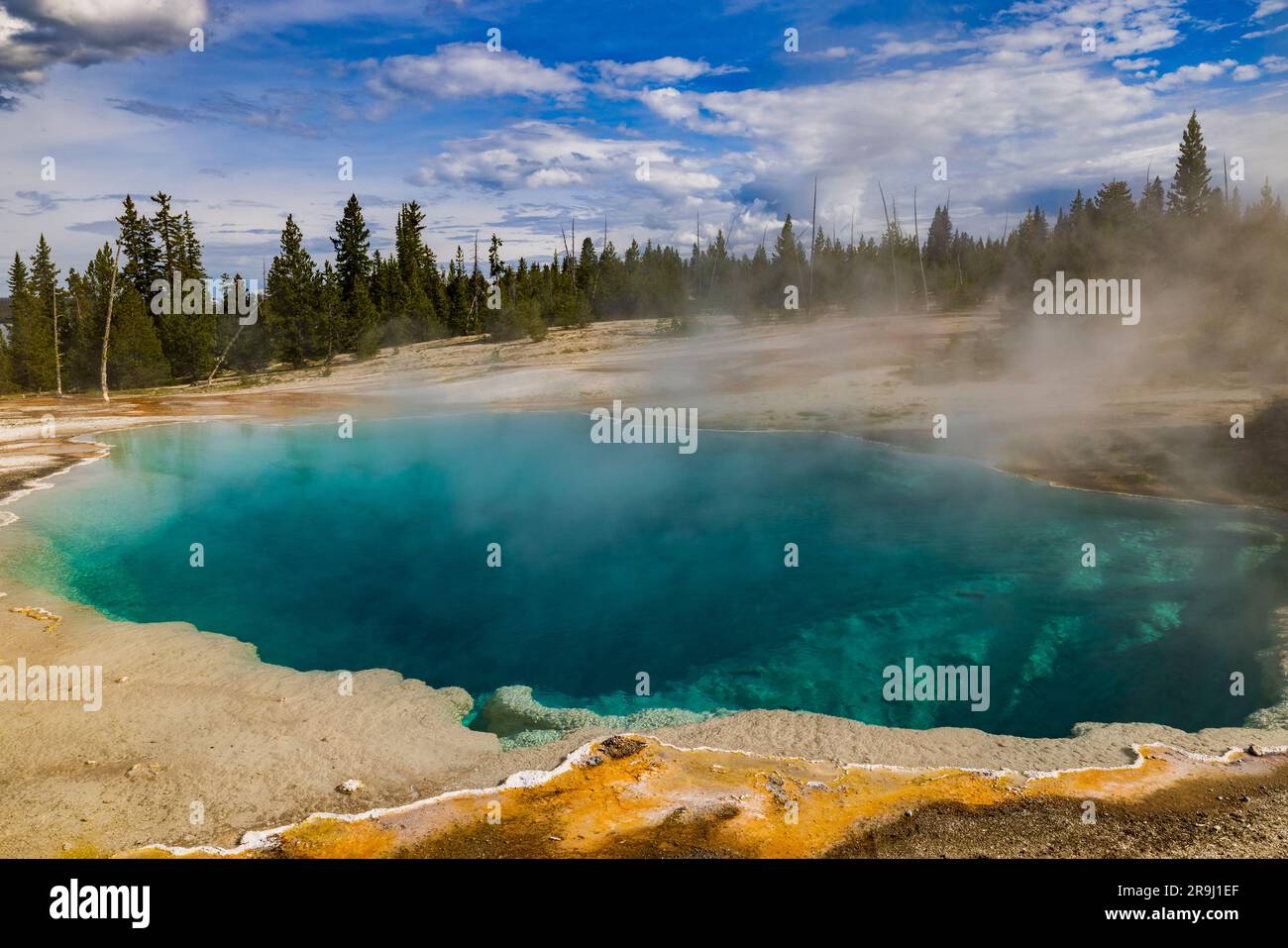 Steam rises off the turquoise-colored water of Black Pool hot spring in the West Thumb Geyser Basin of Yellowstone National Park, Teton County, WY USA. Stock Photo