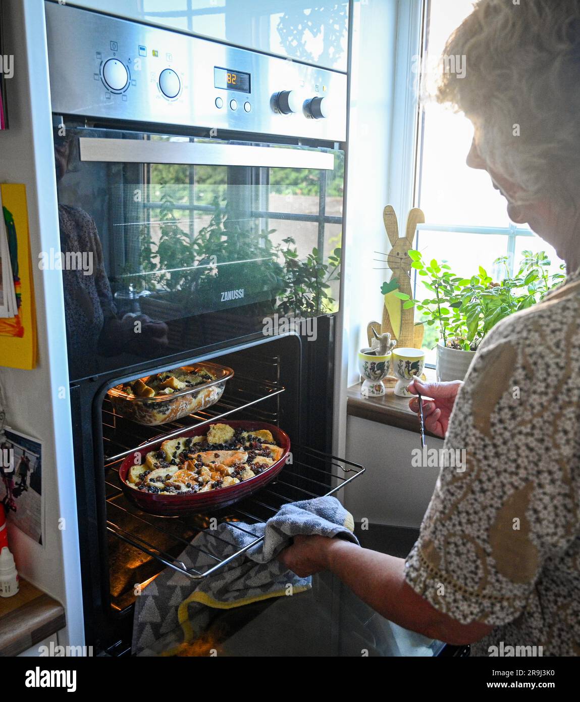 Home made bread and butter pudding being cooked in an electric fan oven in the kitchen Stock Photo