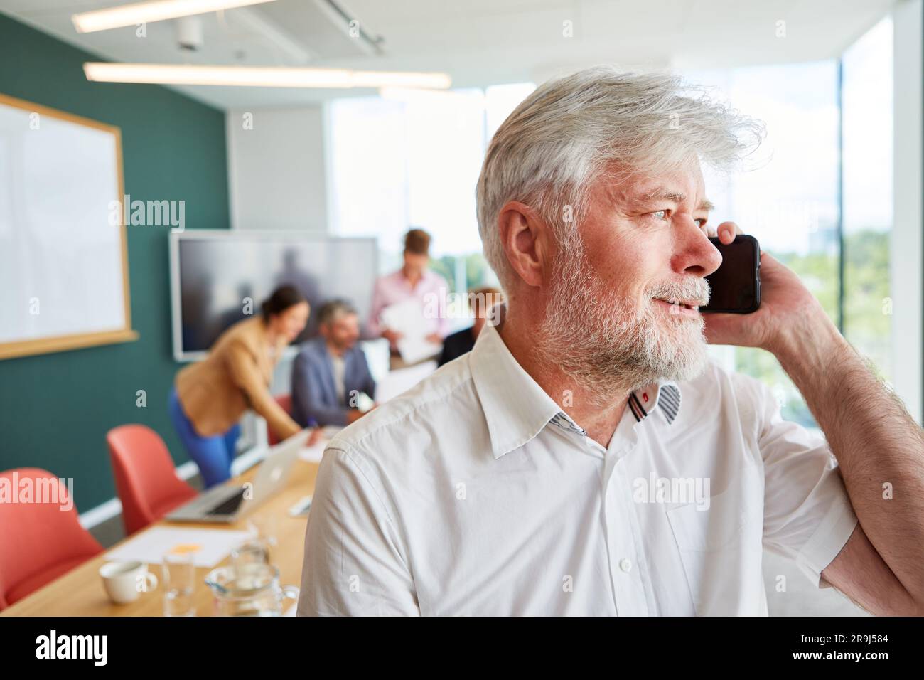 Bearded senior businessman talking on mobile phone at office Stock Photo