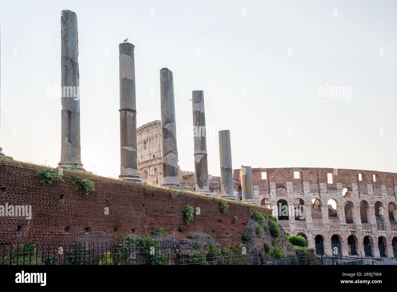 Ancient columns by Colosseum in Rome Italy Stock Photo - Alamy