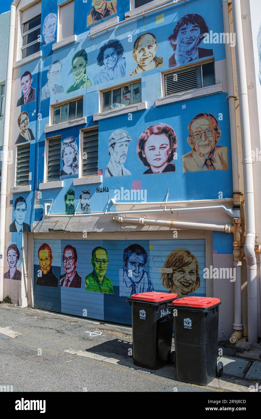 Street art in Denham Lane, Townsville, Queensland, Australia Stock Photo