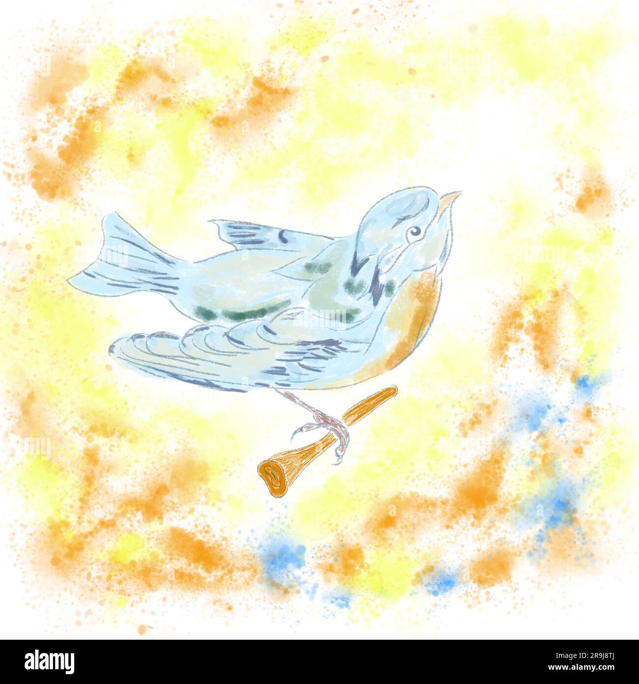 Bird on a branch digital drawing. Color illustration for design Stock ...