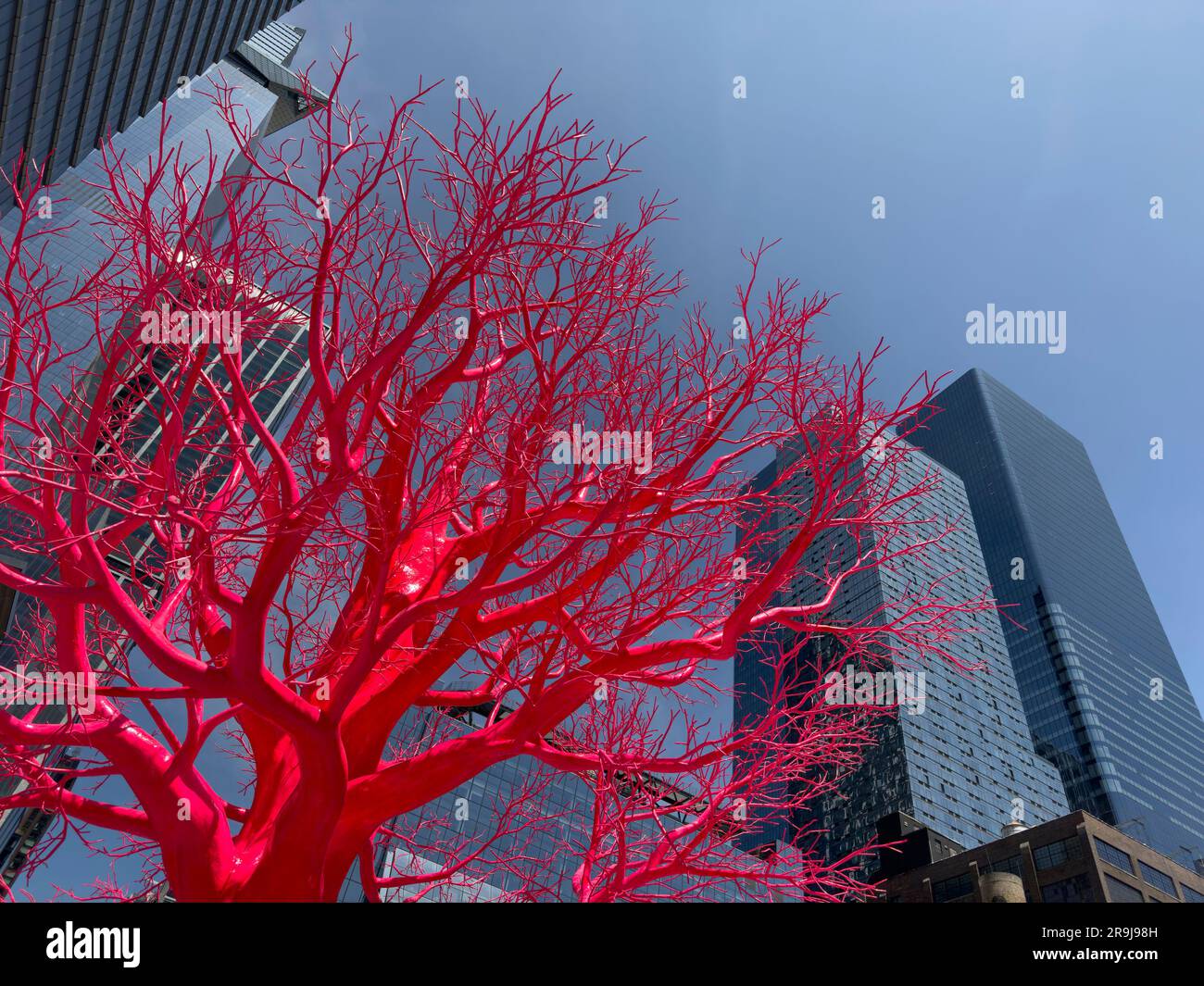 High Line Red Tree New York, New York, USA. 27th May, 2023. The
