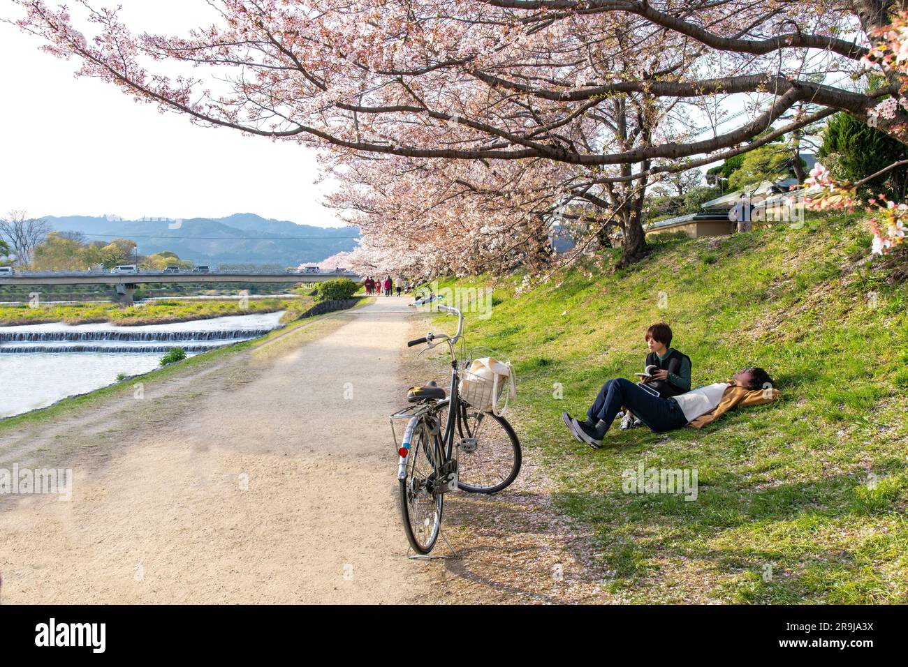 Japanese Bicycle Rider Doing Yoga By Kamo River Kyoto Japan Stock