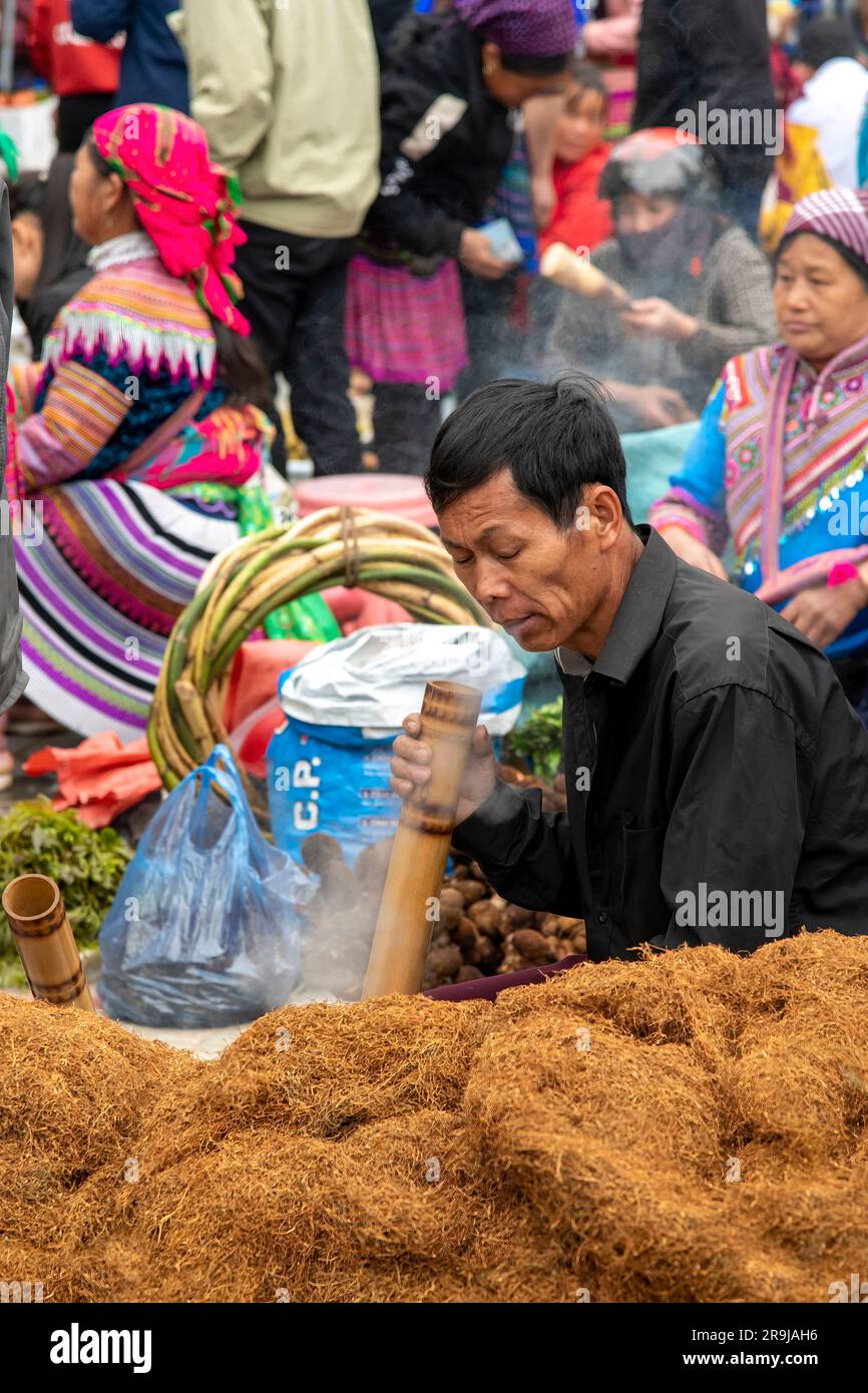 Bac Ha, Vietnam-April 2023; View of a man sitting on the ground next to  pile of tobacco, smoking pipe tobacco Thuoc lao or Nicotiana rustica  through b Stock Photo